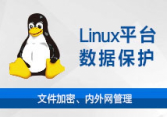 天銳綠盾Linux平臺信息安全管理系統